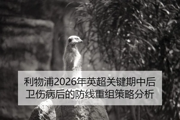 利物浦2026年英超关键期中后卫伤病后的防线重组策略分析